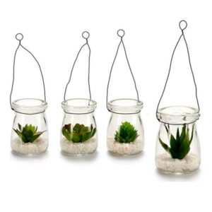 detalle regalo boda cactus
